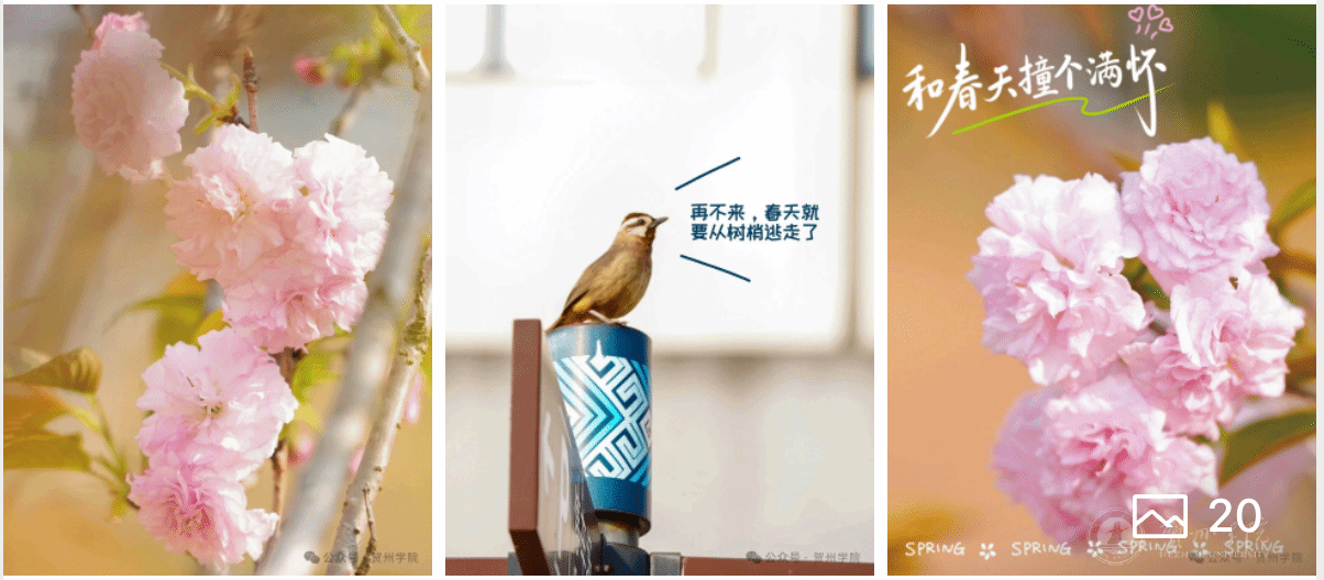 日日躁夜夜躁狠狠久久AV