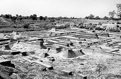 日日躁夜夜躁狠狠久久AV