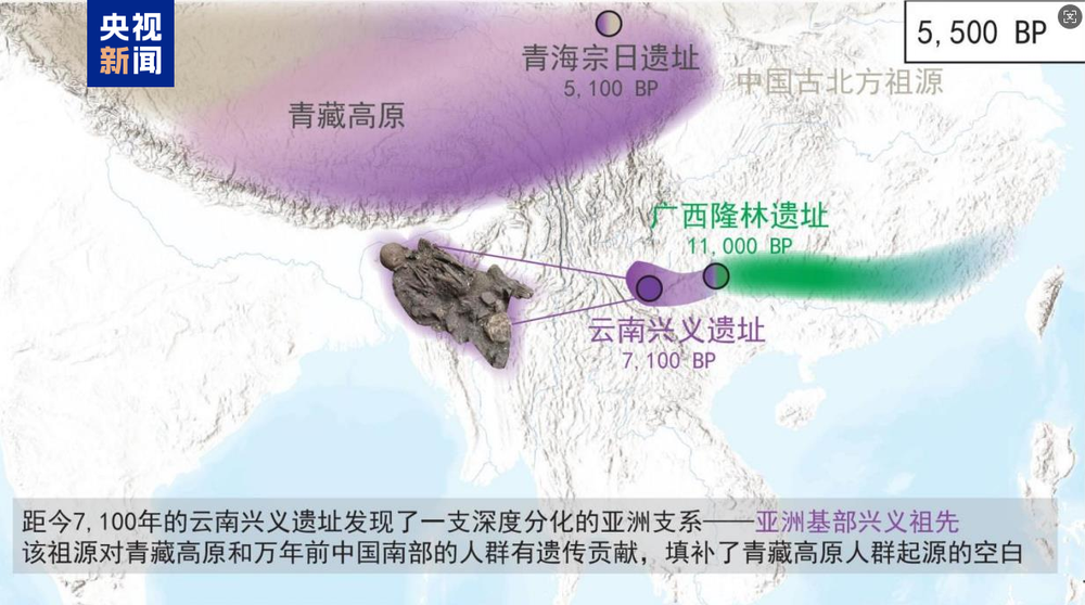 日日躁夜夜躁狠狠久久AV