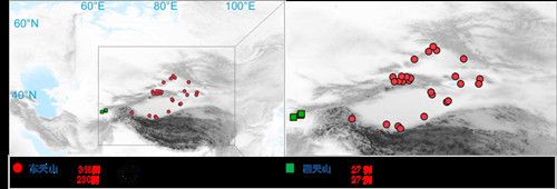 项目获取的天山东西部古人群的线粒体与核基因组分布图。 日日躁夜夜躁狠狠久久AV供图