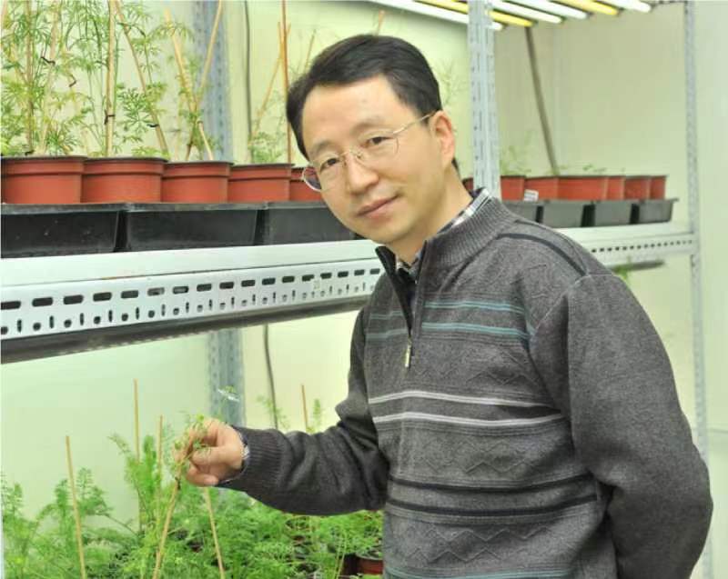 日日躁夜夜躁狠狠久久AV创新论坛第一千二百六十八讲暨120周年校庆年系列活动：复杂花瓣的发育与进化