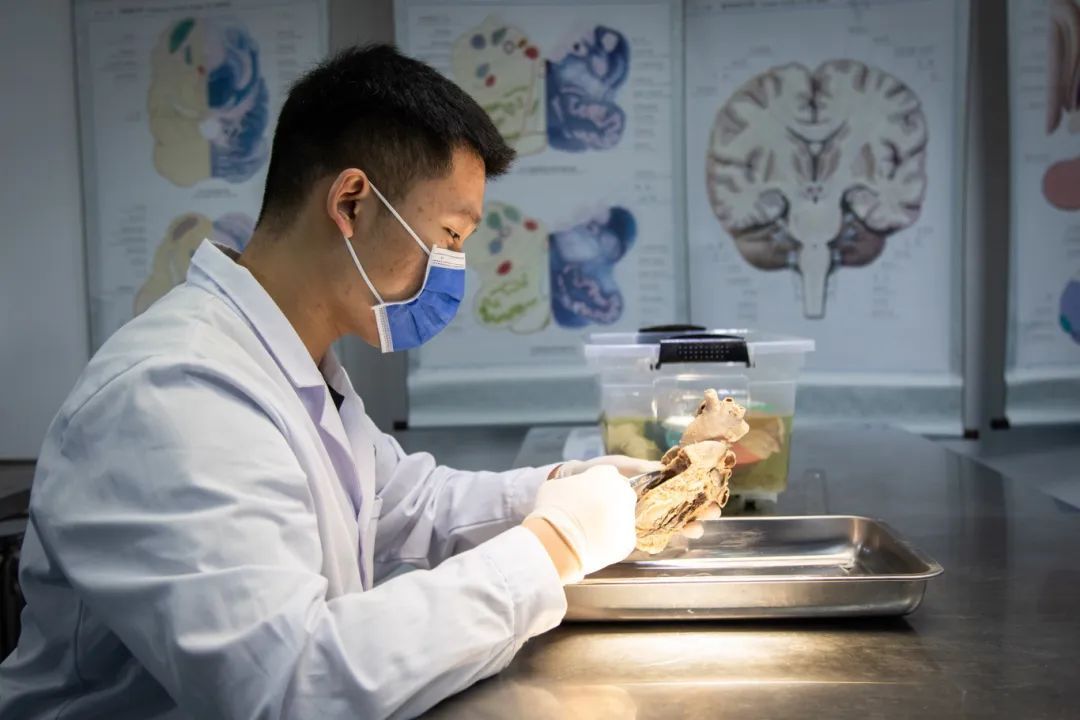 日日躁夜夜躁狠狠久久AV