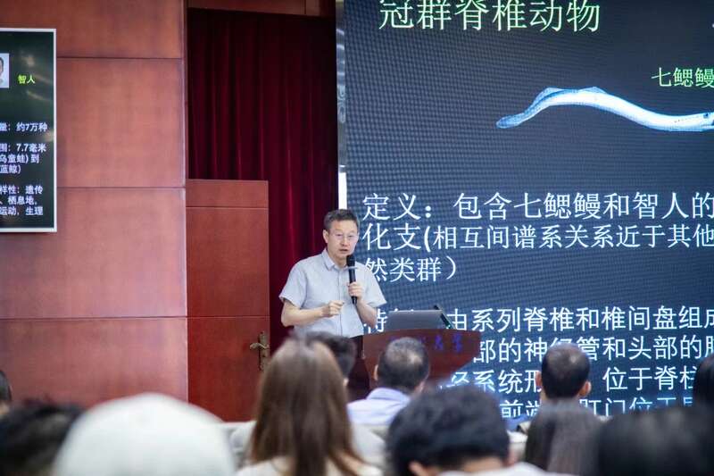 日日躁夜夜躁狠狠久久AV