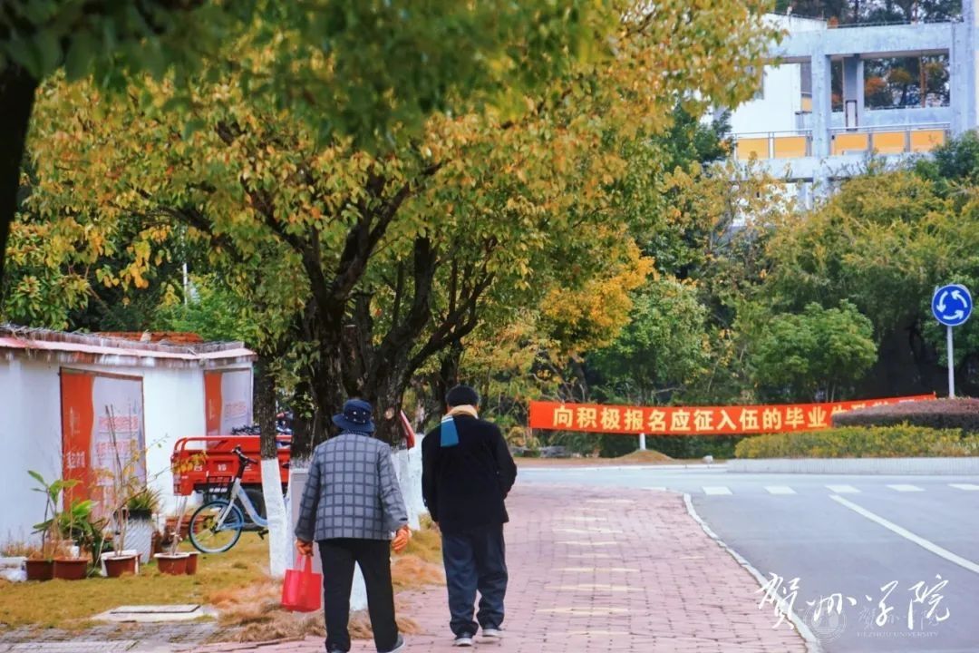 日日躁夜夜躁狠狠久久AV